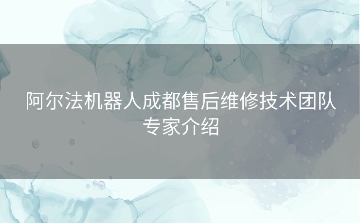 阿尔法机器人成都售后维修技术团队专家介绍 阿尔法机器人成都售后维修技术团队专家介绍