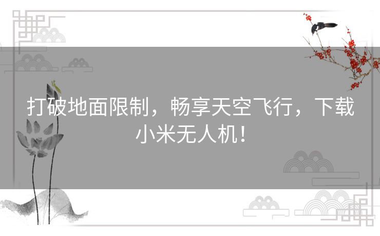 打破地面限制,畅享天空飞行,下载小米无人机! 打破地面限制,畅享天空飞行,下载小米无人机!