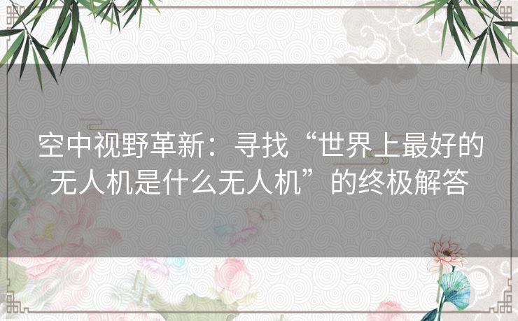 空中视野革新:寻找“世界上最好的无人机是什么无人机”的终极解答 空中视野革新:寻找“世界上最好的无人机是什么无人机”的终极解答