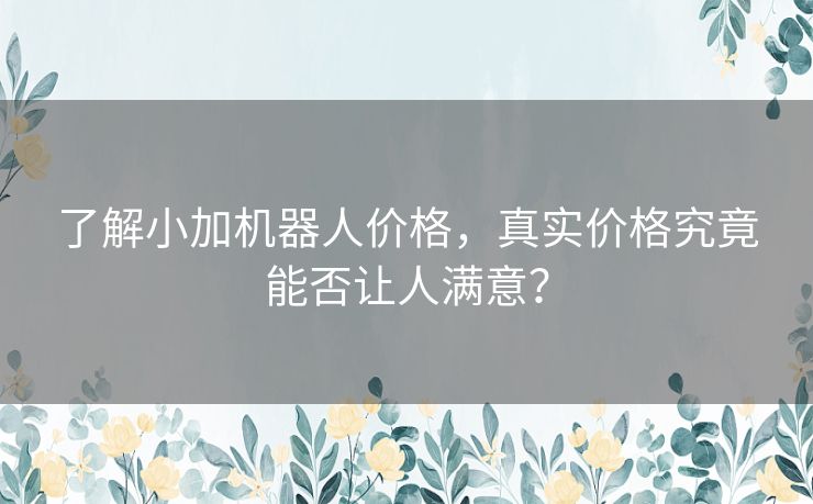 了解小加机器人价格,真实价格究竟能否让人满意? 了解小加机器人价格,真实价格究竟能否让人满意?