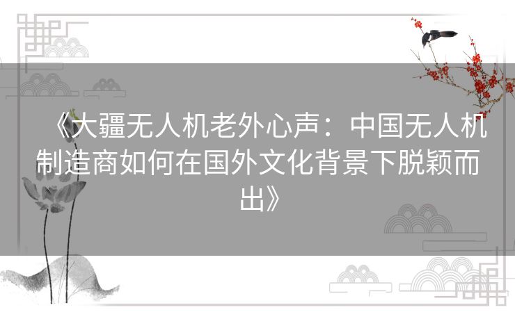 《大疆无人机老外心声:中国无人机制造商如何在国外文化背景下脱颖而出》 《大疆无人机老外心声:中国无人机制造商如何在国外文化背景下脱颖而出》