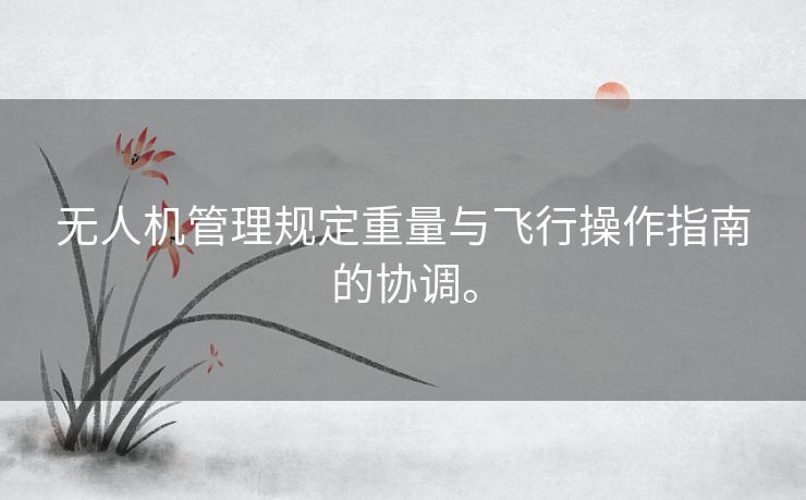 无人机管理规定重量与飞行操作指南的协调。 无人机管理规定重量与飞行操作指南的协调。