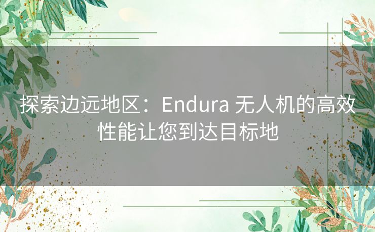 探索边远地区:Endura 无人机的高效性能让您到达目标地 探索边远地区:Endura 无人机的高效性能让您到达目标地