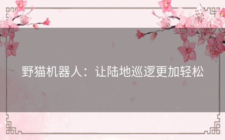 野猫机器人:让陆地巡逻更加轻松 野猫机器人:让陆地巡逻更加轻松