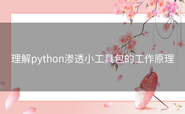 理解python渗透小工具包的工作原理 理解python渗透小工具包的工作原理