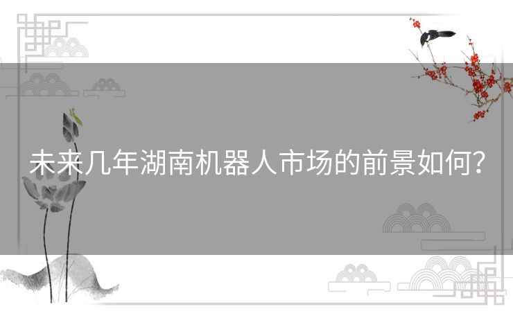 未来几年湖南机器人市场的前景如何? 未来几年湖南机器人市场的前景如何?
