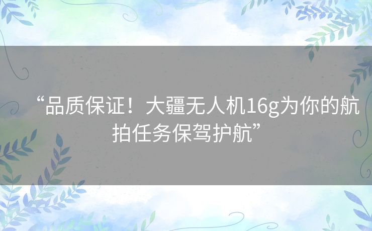 “品质保证!大疆无人机16g为你的航拍任务保驾护航” “品质保证!大疆无人机16g为你的航拍任务保驾护航”