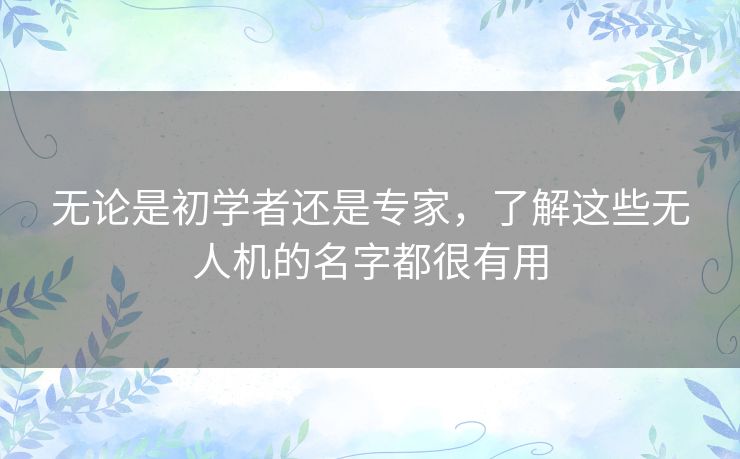 无论是初学者还是专家,了解这些无人机的名字都很有用 无论是初学者还是专家,了解这些无人机的名字都很有用