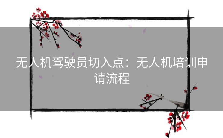 无人机驾驶员切入点:无人机培训申请流程 无人机驾驶员切入点:无人机培训申请流程
