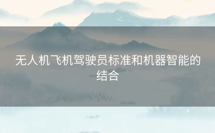 无人机飞机驾驶员标准和机器智能的结合 无人机飞机驾驶员标准和机器智能的结合