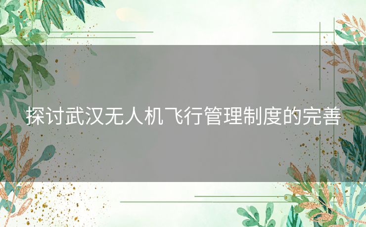 探讨武汉无人机飞行管理制度的完善 探讨武汉无人机飞行管理制度的完善