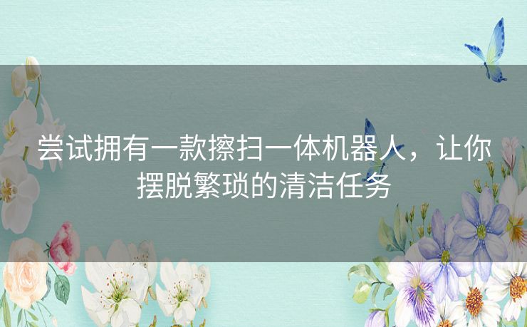 尝试拥有一款擦扫一体机器人,让你摆脱繁琐的清洁任务 尝试拥有一款擦扫一体机器人,让你摆脱繁琐的清洁任务