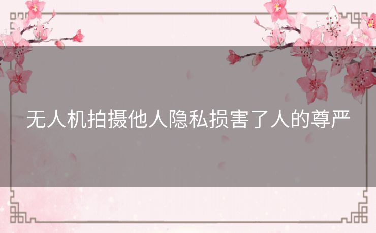 无人机拍摄他人隐私损害了人的尊严 无人机拍摄他人隐私损害了人的尊严