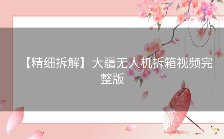 【精细拆解】大疆无人机拆箱视频完整版