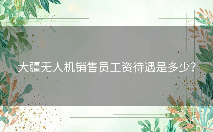 大疆无人机销售员工资待遇是多少? 大疆无人机销售员工资待遇是多少?