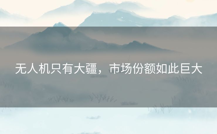 无人机只有大疆,市场份额如此巨大 无人机只有大疆,市场份额如此巨大