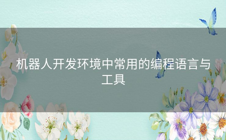 机器人开发环境中常用的编程语言与工具 机器人开发环境中常用的编程语言与工具