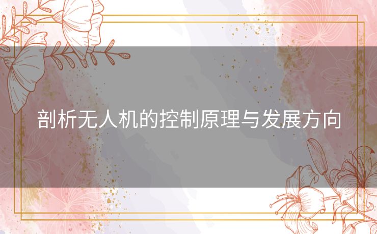 剖析无人机的控制原理与发展方向 剖析无人机的控制原理与发展方向