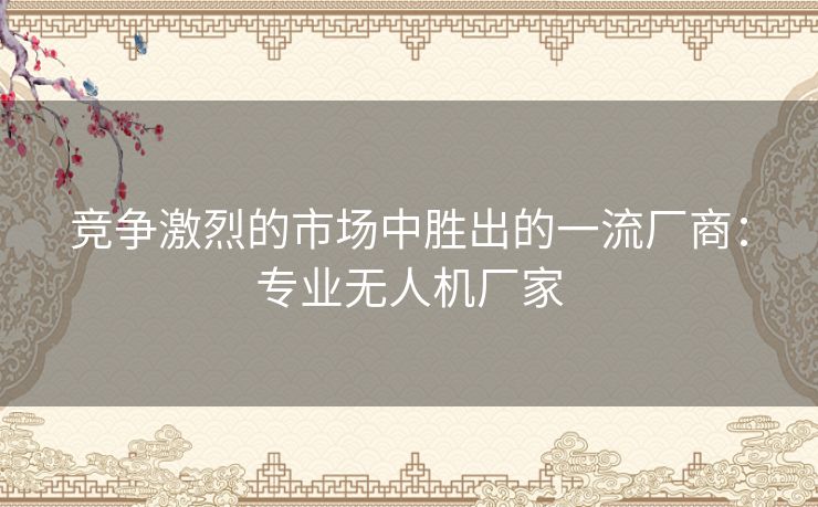 竞争激烈的市场中胜出的一流厂商:专业无人机厂家 竞争激烈的市场中胜出的一流厂商:专业无人机厂家