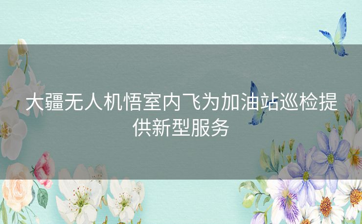 大疆无人机悟室内飞为加油站巡检提供新型服务 大疆无人机悟室内飞为加油站巡检提供新型服务