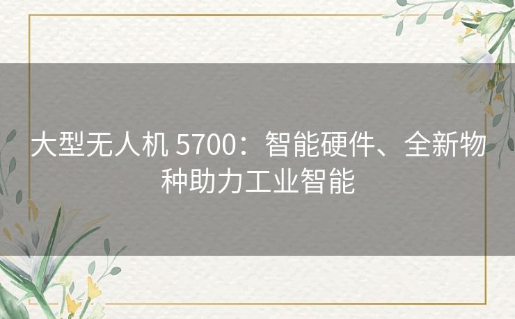 大型无人机 5700:智能硬件、全新物种助力工业智能 大型无人机 5700:智能硬件、全新物种助力工业智能