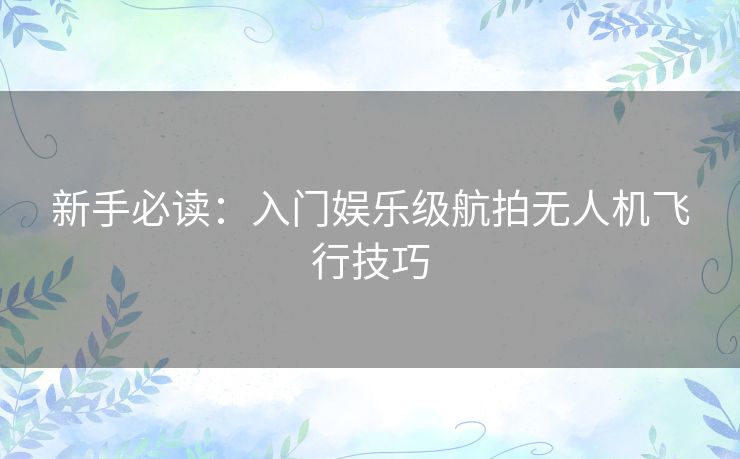 新手必读:入门娱乐级航拍无人机飞行技巧 新手必读:入门娱乐级航拍无人机飞行技巧