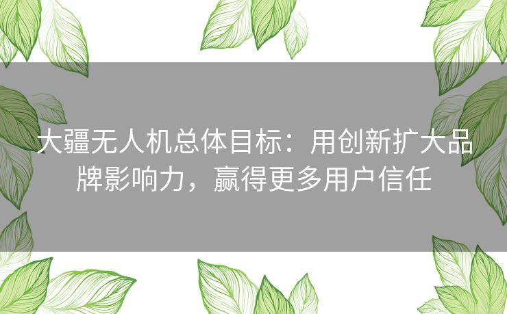 大疆无人机总体目标:用创新扩大品牌影响力,赢得更多用户信任 大疆无人机总体目标:用创新扩大品牌影响力,赢得更多用户信任