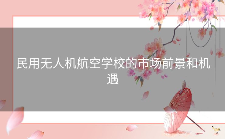 民用无人机航空学校的市场前景和机遇 民用无人机航空学校的市场前景和机遇
