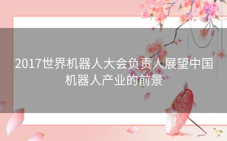 2017世界机器人大会负责人展望中国机器人产业的前景 2017世界机器人大会负责人展望中国机器人产业的前景