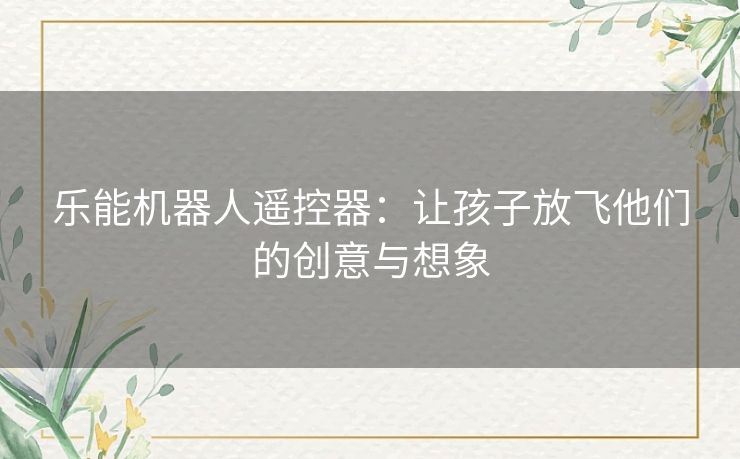 乐能机器人遥控器：让孩子放飞他们的创意与想象