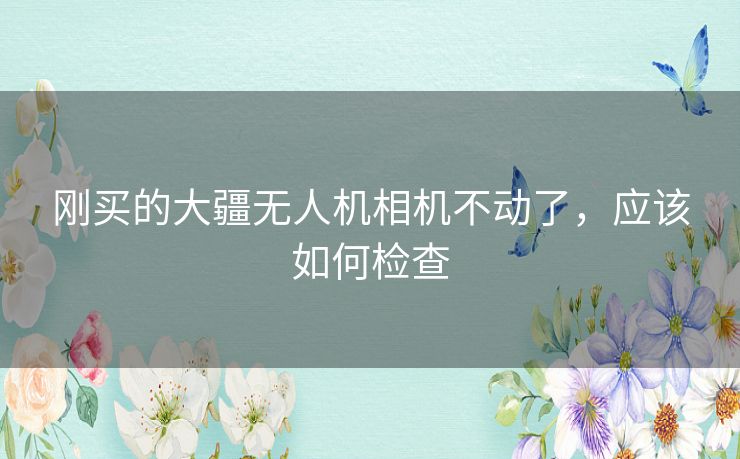 刚买的大疆无人机相机不动了,应该如何检查 刚买的大疆无人机相机不动了,应该如何检查