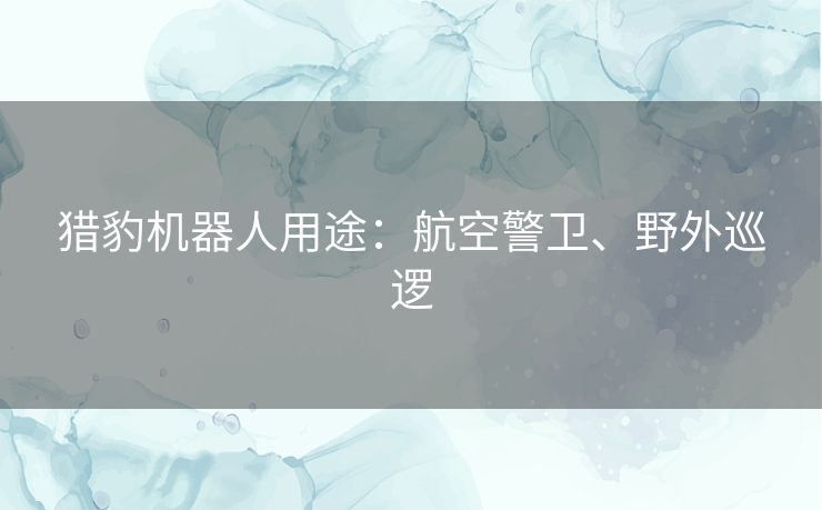 猎豹机器人用途:航空警卫、野外巡逻 猎豹机器人用途:航空警卫、野外巡逻