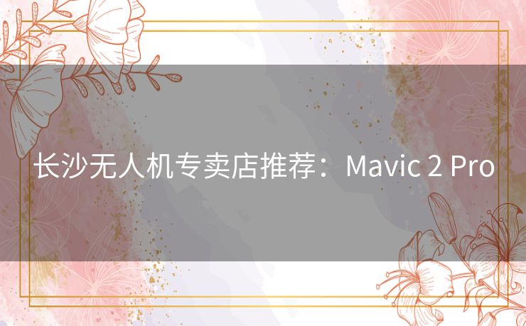 长沙无人机专卖店推荐:Mavic 2 Pro 长沙无人机专卖店推荐:Mavic 2 Pro