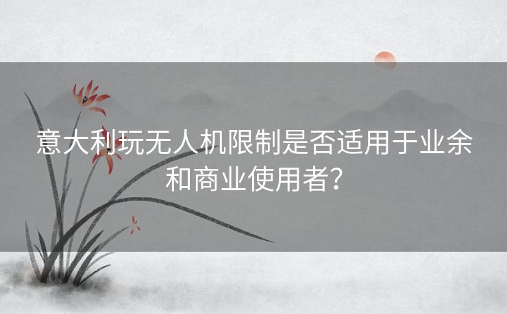 意大利玩无人机限制是否适用于业余和商业使用者? 意大利玩无人机限制是否适用于业余和商业使用者?