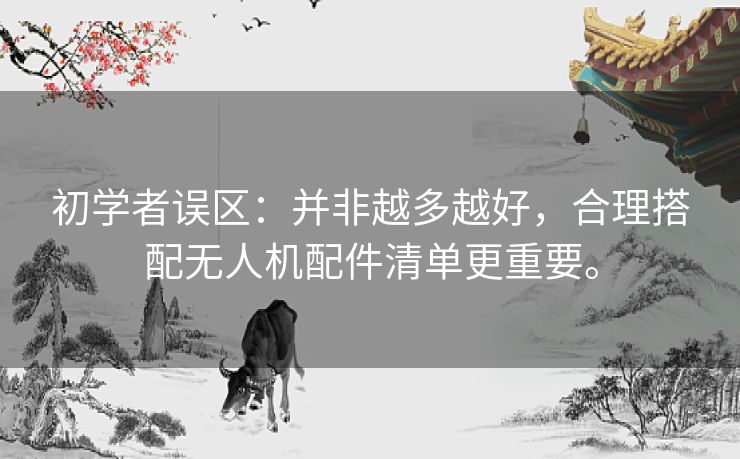 初学者误区:并非越多越好,合理搭配无人机配件清单更重要。 初学者误区:并非越多越好,合理搭配无人机配件清单更重要。