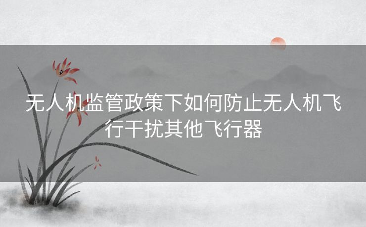 无人机监管政策下如何防止无人机飞行干扰其他飞行器 无人机监管政策下如何防止无人机飞行干扰其他飞行器