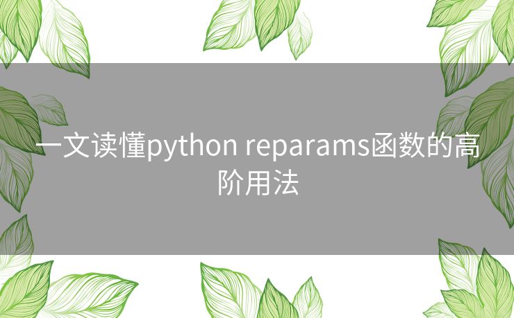 一文读懂python reparams函数的高阶用法 一文读懂python reparams函数的高阶用法