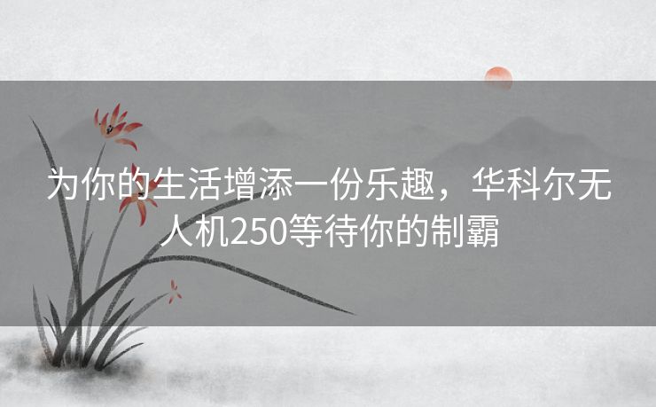 为你的生活增添一份乐趣,华科尔无人机250等待你的制霸 为你的生活增添一份乐趣,华科尔无人机250等待你的制霸