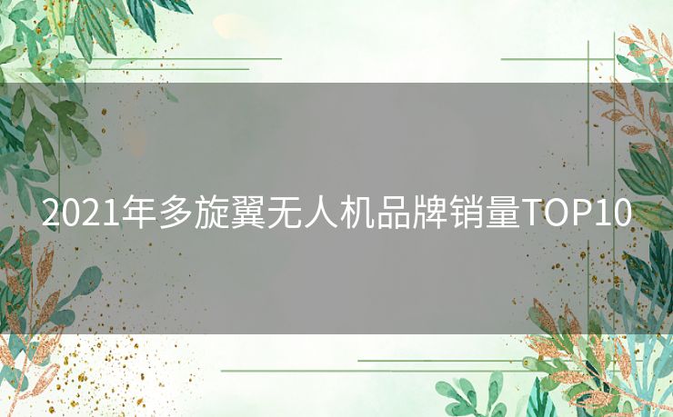 2021年多旋翼无人机品牌销量TOP10 2021年多旋翼无人机品牌销量TOP10