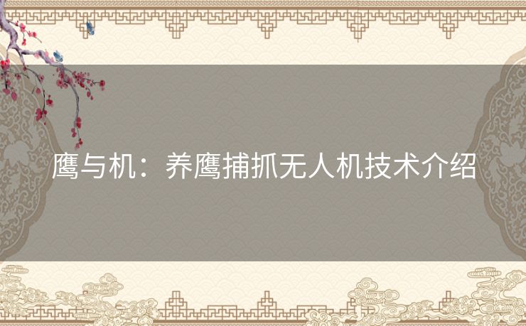 鹰与机:养鹰捕抓无人机技术介绍 鹰与机:养鹰捕抓无人机技术介绍