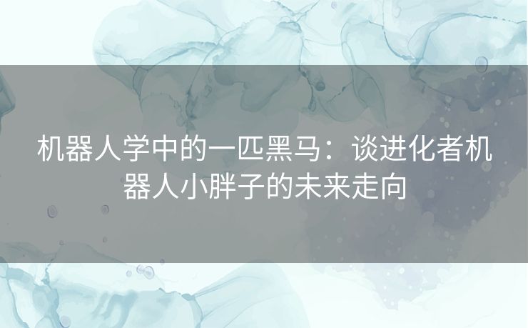 机器人学中的一匹黑马：谈进化者机器人小胖子的未来走向