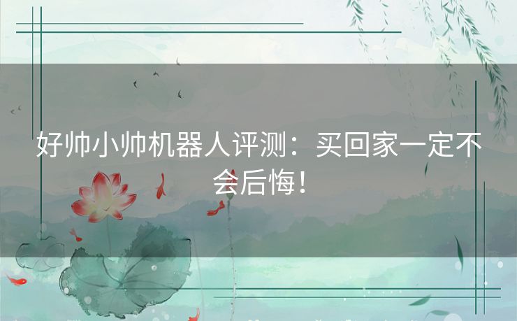 好帅小帅机器人评测:买回家一定不会后悔! 好帅小帅机器人评测:买回家一定不会后悔!