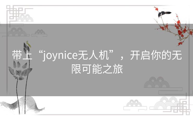 带上“joynice无人机”,开启你的无限可能之旅 带上“joynice无人机”,开启你的无限可能之旅