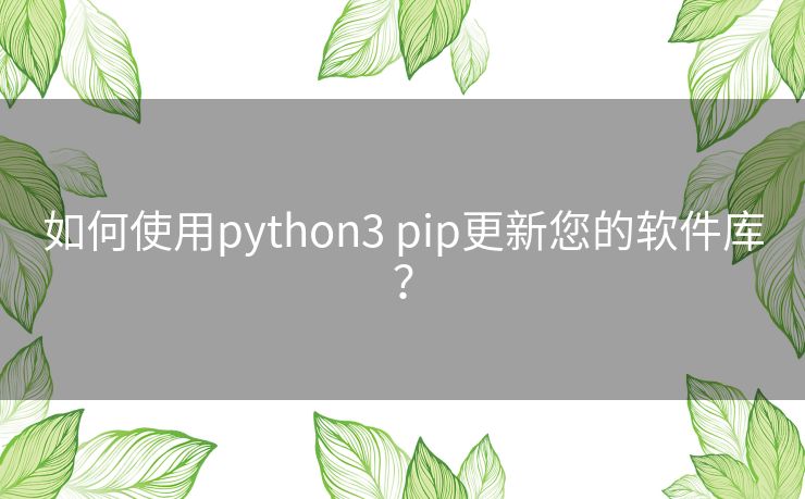 如何使用python3 pip更新您的软件库? 如何使用python3 pip更新您的软件库?