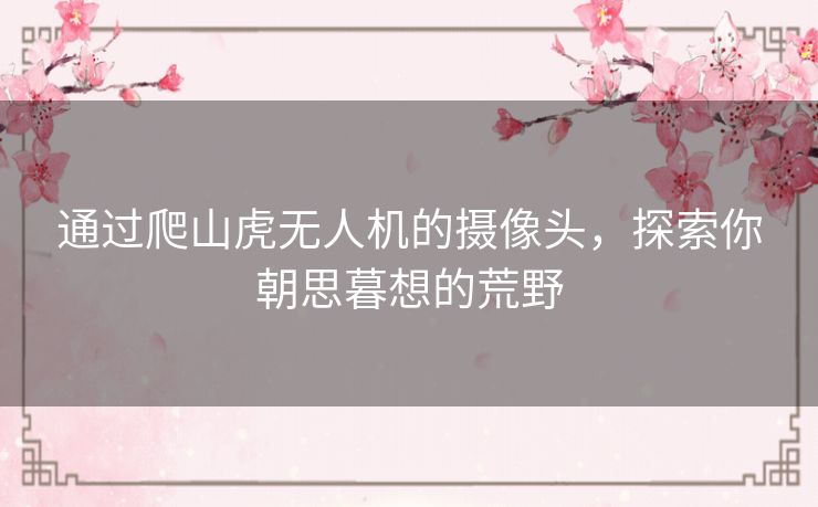 通过爬山虎无人机的摄像头,探索你朝思暮想的荒野 通过爬山虎无人机的摄像头,探索你朝思暮想的荒野