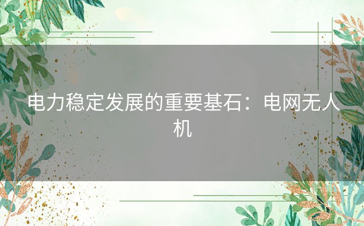 电力稳定发展的重要基石:电网无人机 电力稳定发展的重要基石:电网无人机