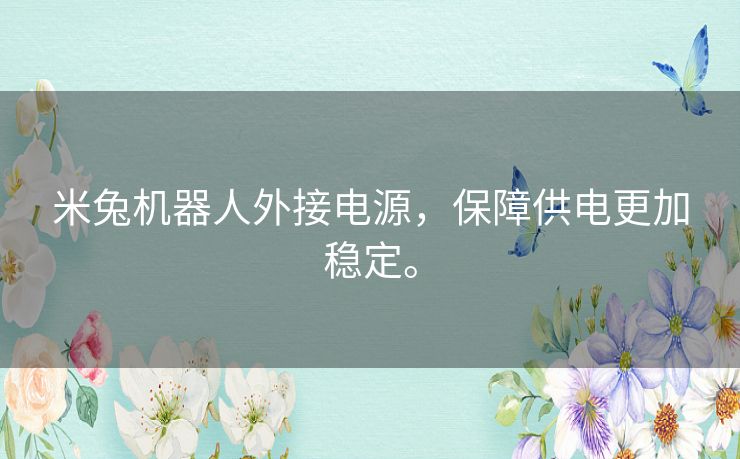 米兔机器人外接电源,保障供电更加稳定。 米兔机器人外接电源,保障供电更加稳定。