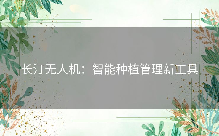 长汀无人机:智能种植管理新工具 长汀无人机:智能种植管理新工具