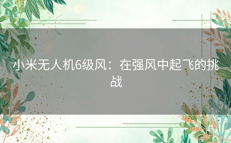 小米无人机6级风:在强风中起飞的挑战 小米无人机6级风:在强风中起飞的挑战