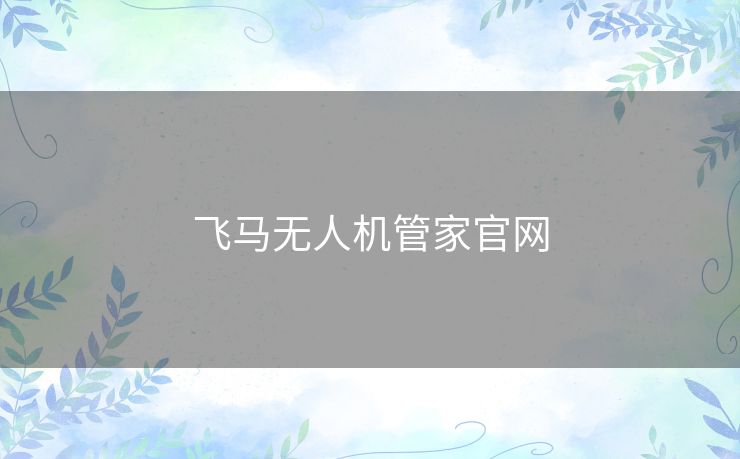 飞马无人机管家官网 飞马无人机管家官网